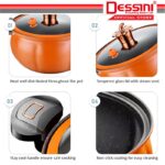 DESSINI ITALY 28CM Totipotent Pressure Cooker Casserole Induction Non Stick Iron Pot Bowl Pan Cookware Cover Periuk Labu hanya RM28.80 di Shopee