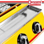DESSINI ITALY CE Approval Stainless Steel Gas BBQ Grill Stove 2800Pa Non Stick Roast Bake Barbecue Roaster (8 Burner) hanya RM420.00 di Shopee