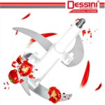 DESSINI ITALY Capsule Cutter Spin Chopper Blender Grinder Mixer Mincer Masher Shredder Juicer / Pengisar Pengadun (2L) hanya RM43.90 di Shopee