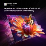 Toshiba 4K QLED Android Google TV (120Hz/Dolby Vision Atmos/55M 550MP/55") [Free Installation] hanya RM2749.00 di Shopee